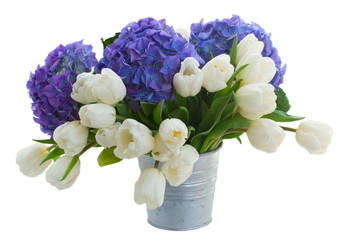 white tulips and blue hortensia flowers