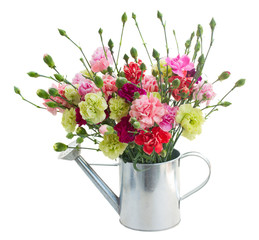 bunch of carnation flowers