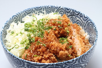 名物　ひれかつ丼