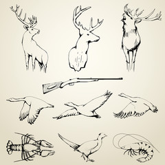 Drawn Wild Animals Collection