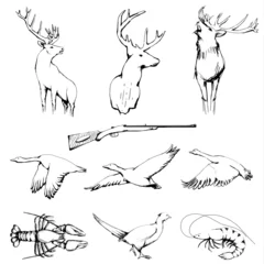 Muurstickers Drawn Wild Animals Collection - Raster © ShantiShanti