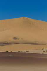 Fototapeta na wymiar Colours of the desert