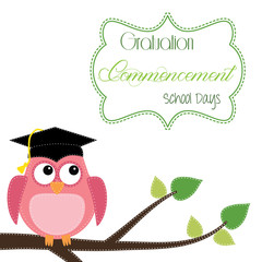 Owl with graduation cap sitting on branch