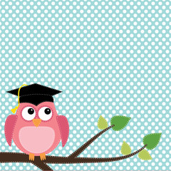 Owl with graduation cap sitting on branch