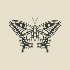 black butterfly machaon