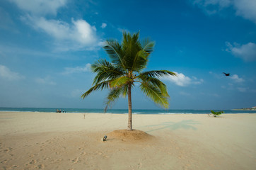 sandy beach on the shores of the Indian Ocean Sri Lanka