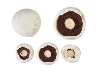 Mushrooms