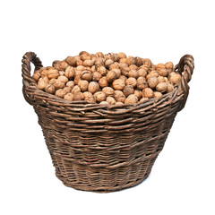 basket with nuts