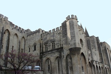 Fototapeta premium Palace of the popes (Palais des Papes) in Avignon