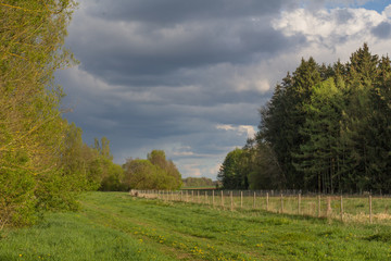Obraz premium spring landscape