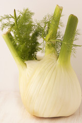 Fennel.