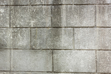 Wall gray
