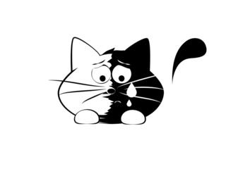 Vector illustration, funny cat, crying
