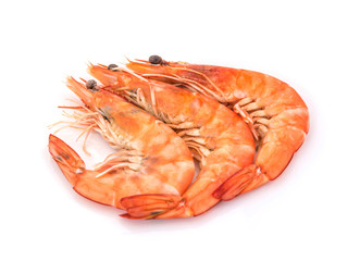 fresh shrimp isolated on a white background