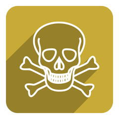 skull icon