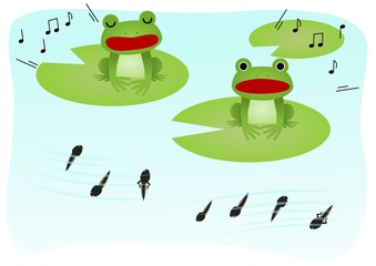 蛙　オタマジャクシ