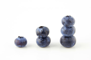 Growing up concept made of fresh blueberries