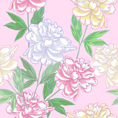 Pink Seamless pattern  with peonies