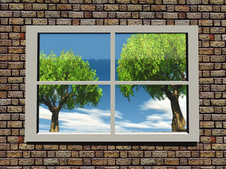 trees and nature through the window