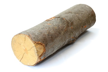 piece of firewood