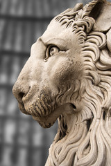 Lion Statue Cathedral St. Lawrence Genova