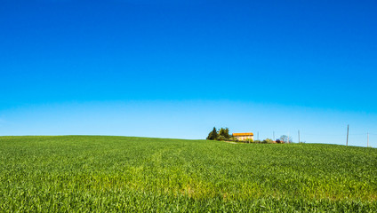 Fototapeta na wymiar view of italian countryside