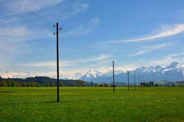 wooden pole for electrical