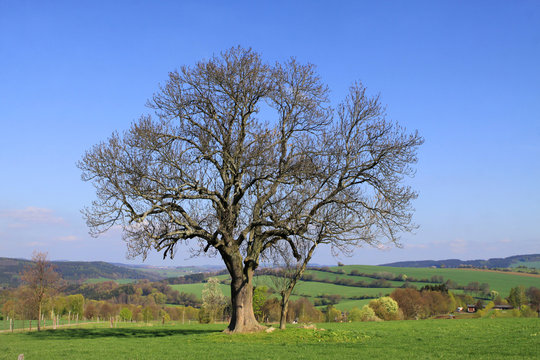 Fr&uuml;hlingshafte Landschaft im westlichen Erzgebirge