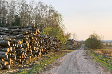 Logging