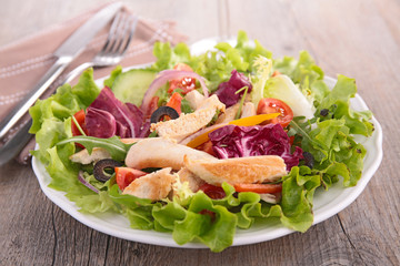 vegetable salad with chicken