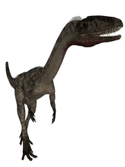 Coelophysis - 3D Dinosaur