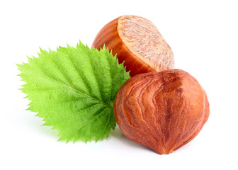 Dried hazelnuts with leaves.