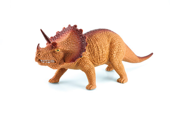 Triceratops dinosaurs toy on white background