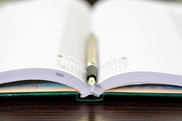 fountain pen and diary