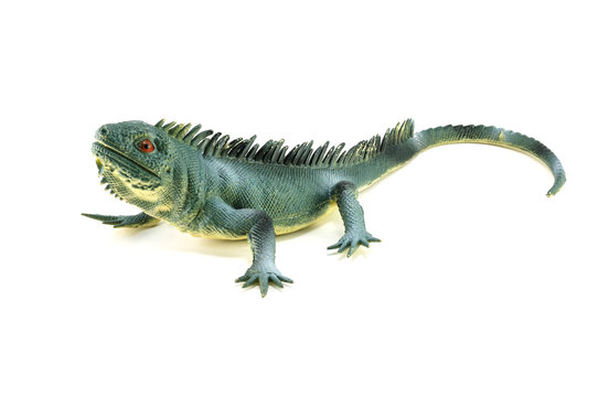 Iguana lizard  toy on white