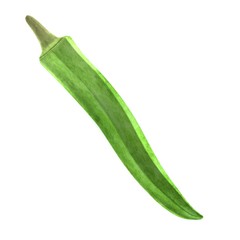 realistic 3d render of okra