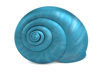 realistic 3d render of shell