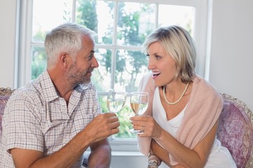 Happy mature couple with wine glasses at home
