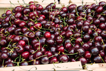 Cherries on sale in healthy concept