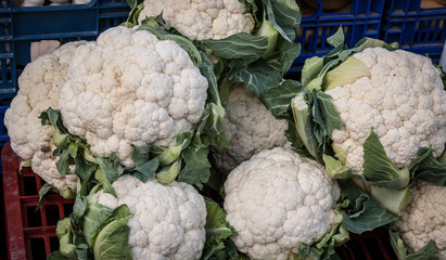 cauliflower