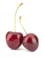 Cherry isolated on white background