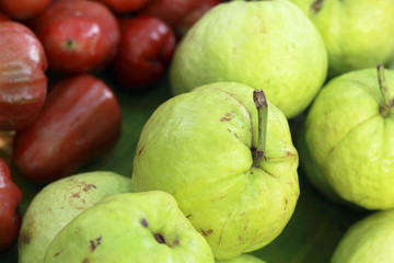 Guava fruit in the market