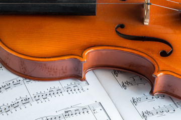 Violino