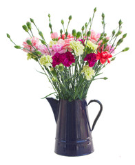 bunch of carnation flowers