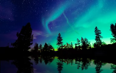 Raamstickers Noorderlicht aurora borealis in de nachtelijke hemel © surangaw
