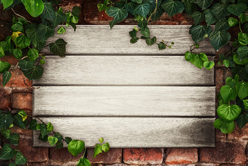 Wooden boards framed by ivy -Place for your advertisement