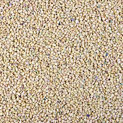 Fenugreek texture 2