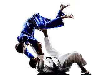 Photo sur Plexiglas Arts martiaux judokas combattants combat hommes silhouettes