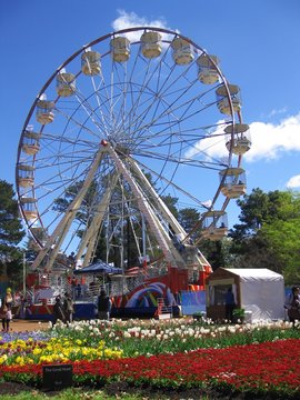 Flower garden and ferris wheel, Australia