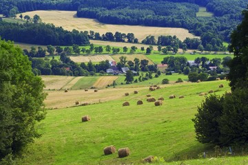 Fototapeta na wymiar summer rural landscape with a field and hay